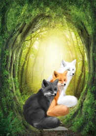 白狐黄狐黑狐狐仙狐狸精