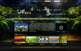 公园网站 公园网页