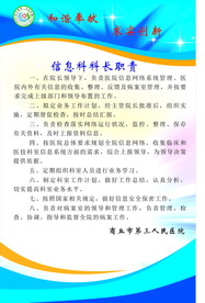 医院 科长 职责 信息科 三甲