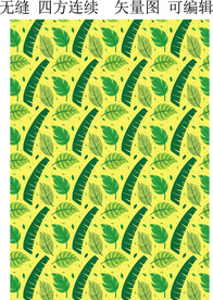 夏季植物 绿色叶子 热带植物