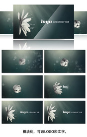 花开LOGO标志片头动画AE模