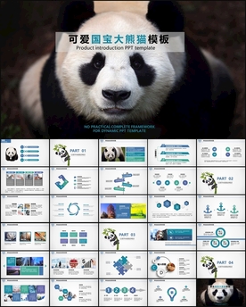 大熊猫PPT