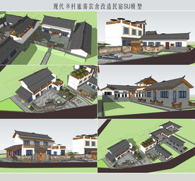 现代乡村旅游农舍改造民宿