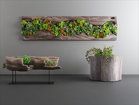 装饰植物盆栽3D模型