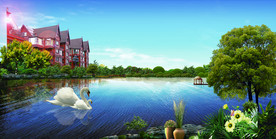 地产沼泽生态自然美景公园合成