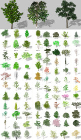 园林树木模型