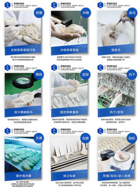 毛燕燕窝挑毛流程非印刷