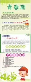 青春期-X展架