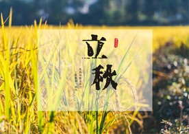立秋背景