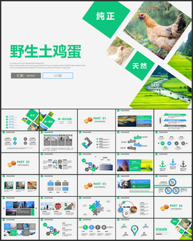 绿色天然养鸡土鸡蛋PPT