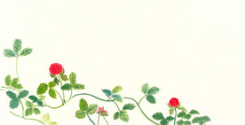 原创 野草莓 公鸡蛋