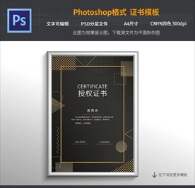 黑金色点线面 授权证书