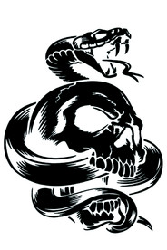 蛇与骷颅头