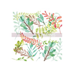 叶子 树叶 花叶 春天 热带