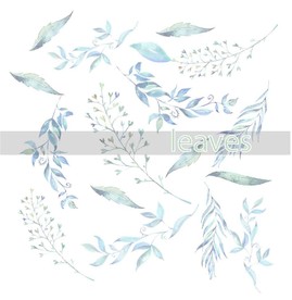 叶子 树叶 花叶 春天 热带