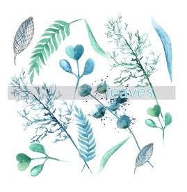 叶子 树叶 花叶 春天 热带