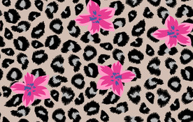 豹纹 花