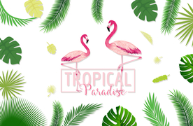 芭蕉叶子火烈鸟