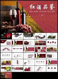 时尚高档尊贵红酒品鉴红酒文化酒