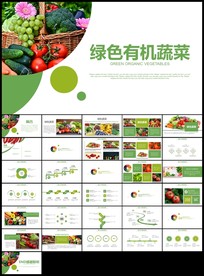 绿色清新蔬菜大棚蔬菜有机蔬菜