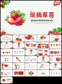 新鲜草莓采摘园绿色水果农产品