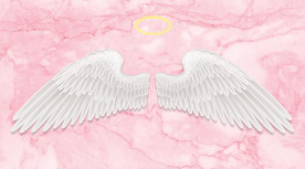 网红翅膀背景墙