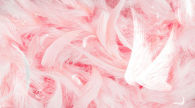 网红羽毛背景墙