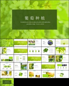 葡萄庄园葡萄种植ppt模板