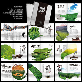 茶叶画册  茶画册