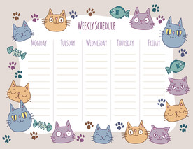 卡通猫猫课程表