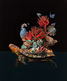 装饰画乌龟多肉鹌鹑蝴蝶创意插画