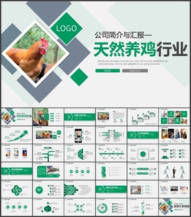 养鸡PPT