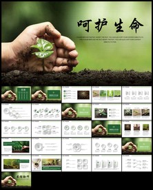 呵护生命绿色生机小苗发芽生长