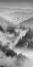 新中式山水玄关