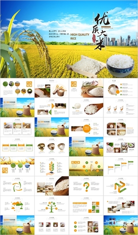 水稻五常有机大米PPT模板农业