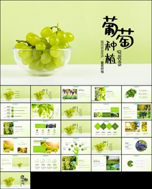 葡萄庄园新疆葡萄PPT模板