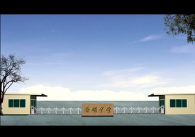 大门 大门工程 电动大门  大