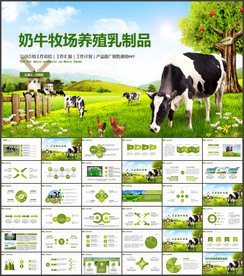 畜牧业乳业农场养殖农业奶牛