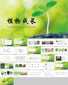 绿色植物发芽植物生长敬畏生命