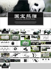 保护动物吃竹子国宝熊猫野生动物