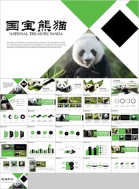 保护动物吃竹子国宝熊猫野生动物