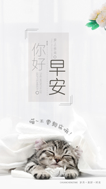 早安 朋友圈宣传 猫 早安海报