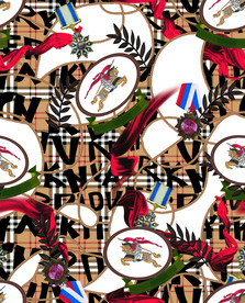 大牌男装 潮流时尚