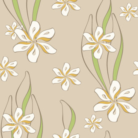 大牌优雅鸡蛋花