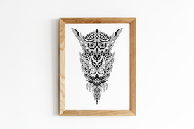猫头鹰装饰画