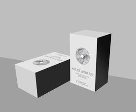 电子包装样机效果图