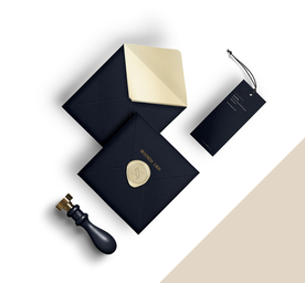 VI办公识别系统贴图效果图