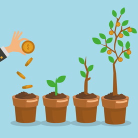 健康投资理财保险茁壮成长小树