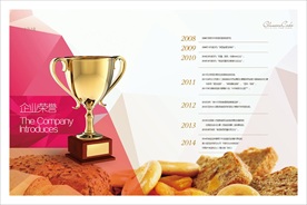 企业荣誉画册