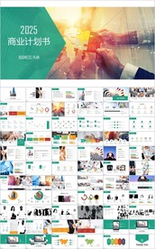 欧美通用创业项目商业计划书模版